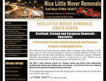 Tablet Screenshot of nicelittlemover.com